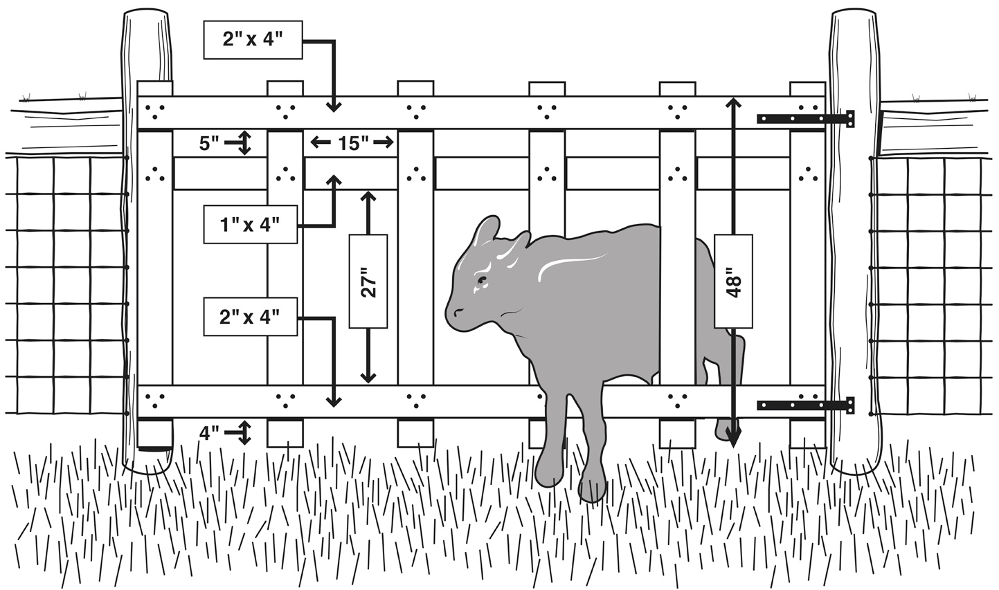 Fig. 02: Diagram of a 12-foot creep gate to allow smaller animals (up to 700 lb) access to higher-quality forage areas.